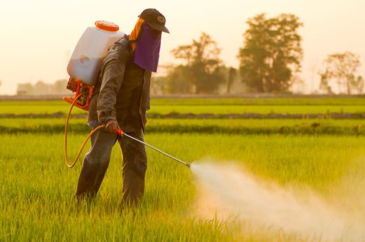 More Communities, Public Agencies Fighting Pesticide Use
