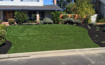 What Makes NewGrass an Ideal Xeriscaping Addition?